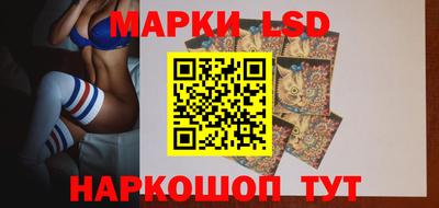 Альфа ПВП Будённовск