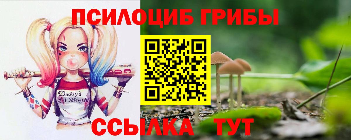 Псилоцибиновые грибы MAGIC MUSHROOMS Нижнекамск